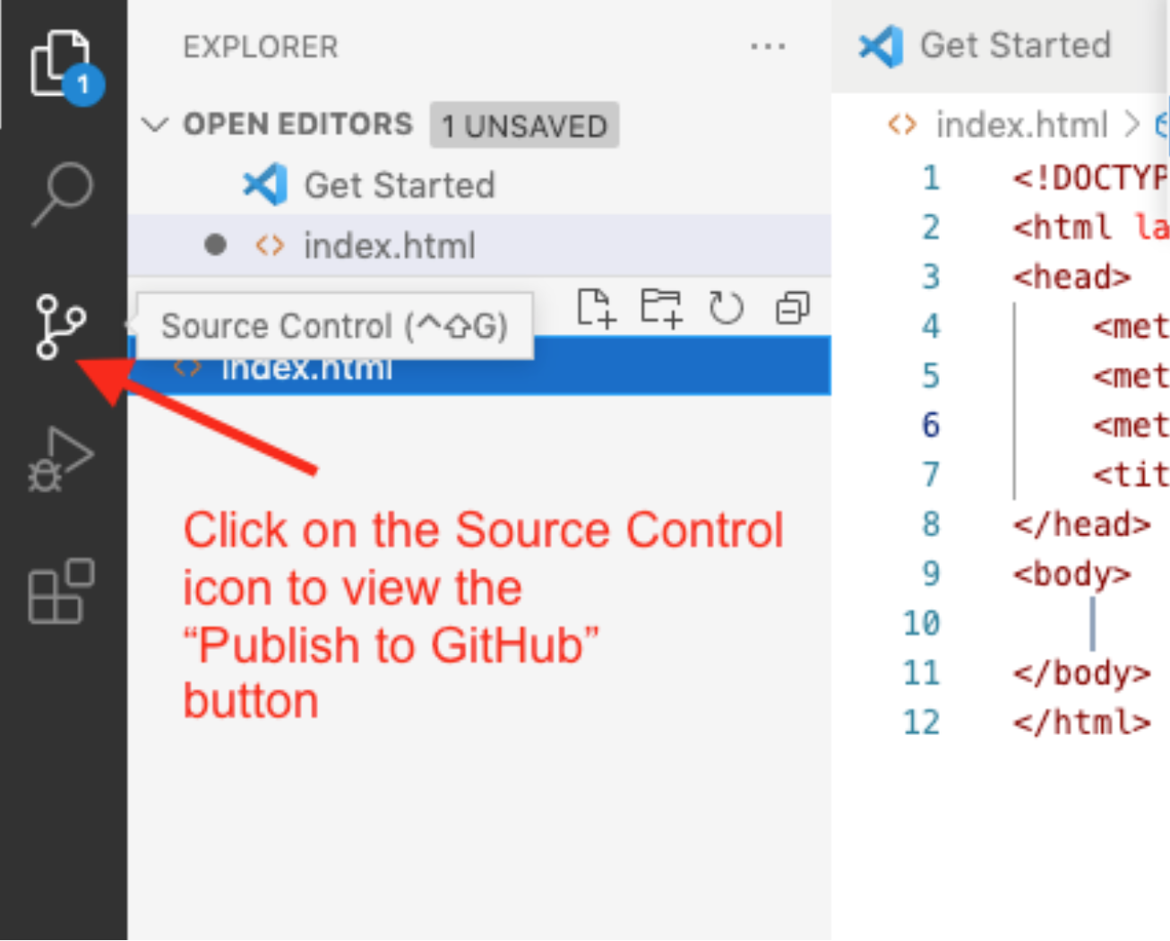 Source Control Icon